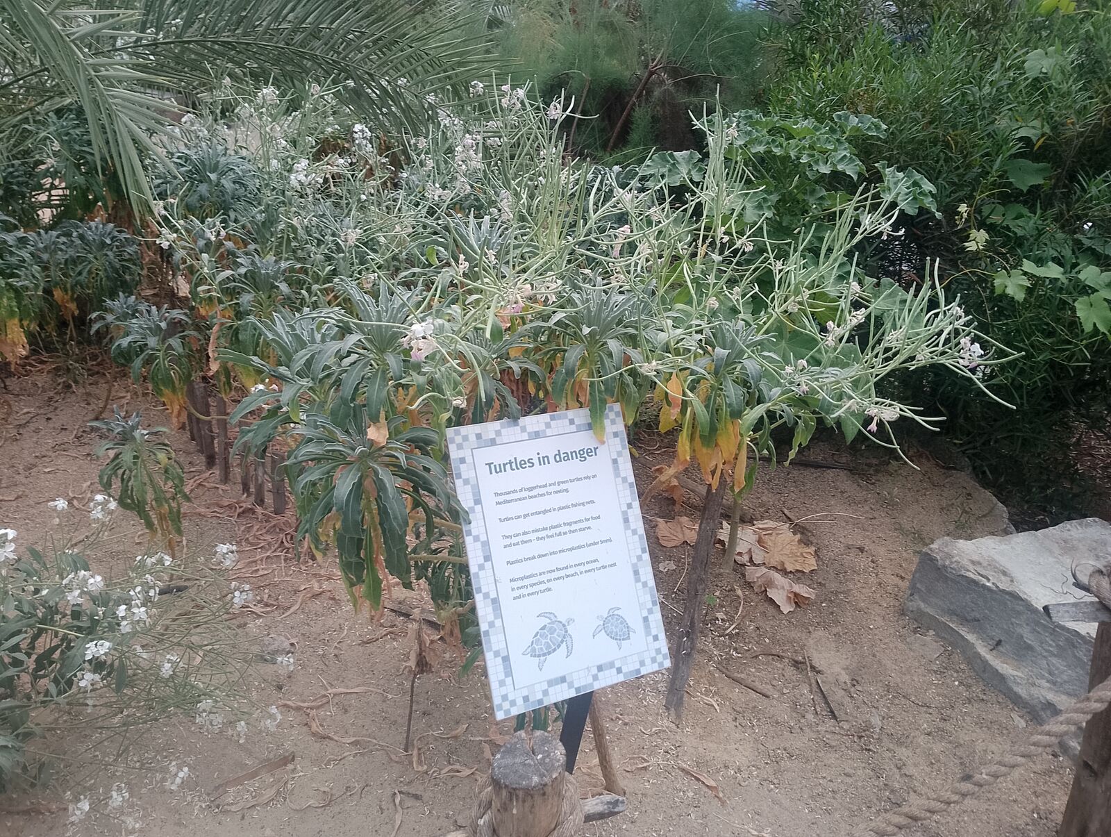 Eden Project
