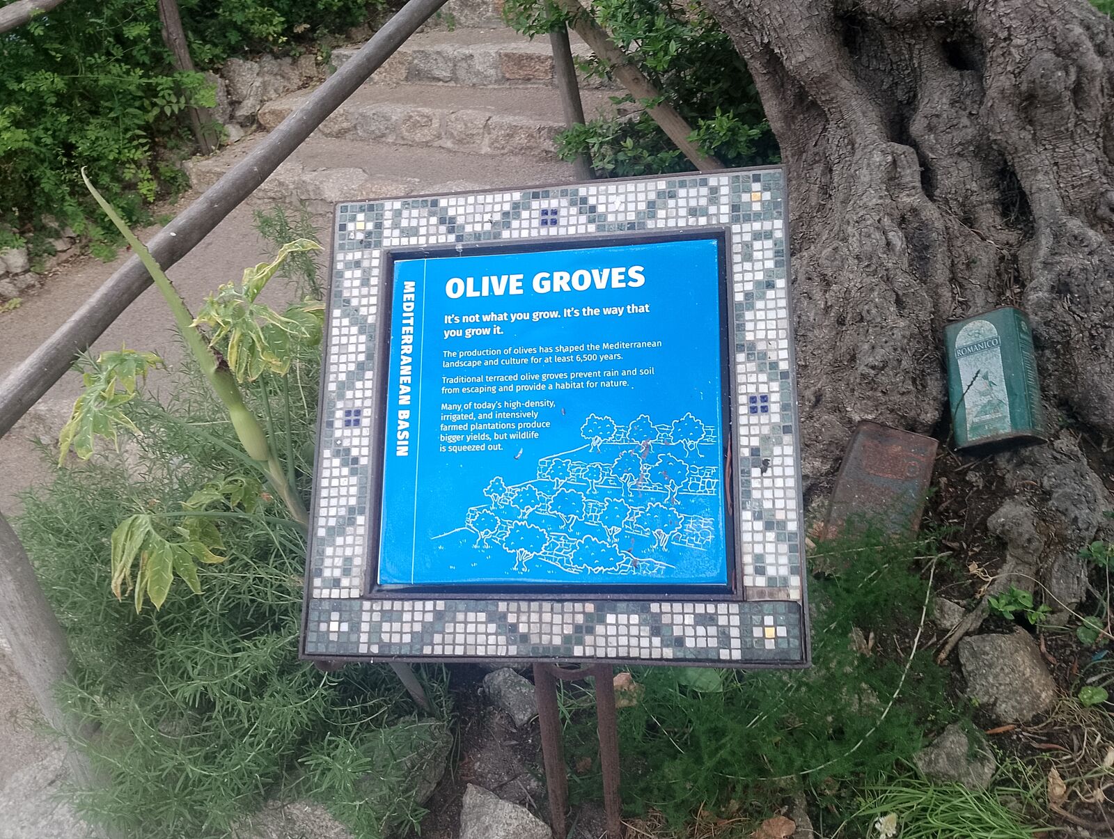 Eden Project