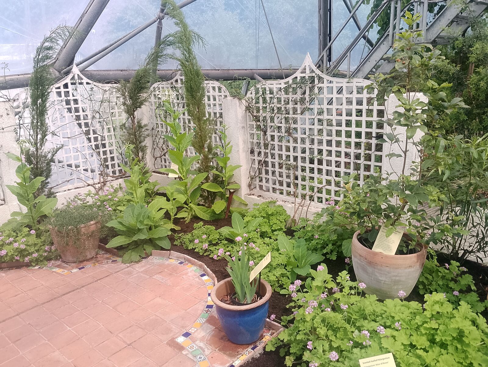 Eden Project