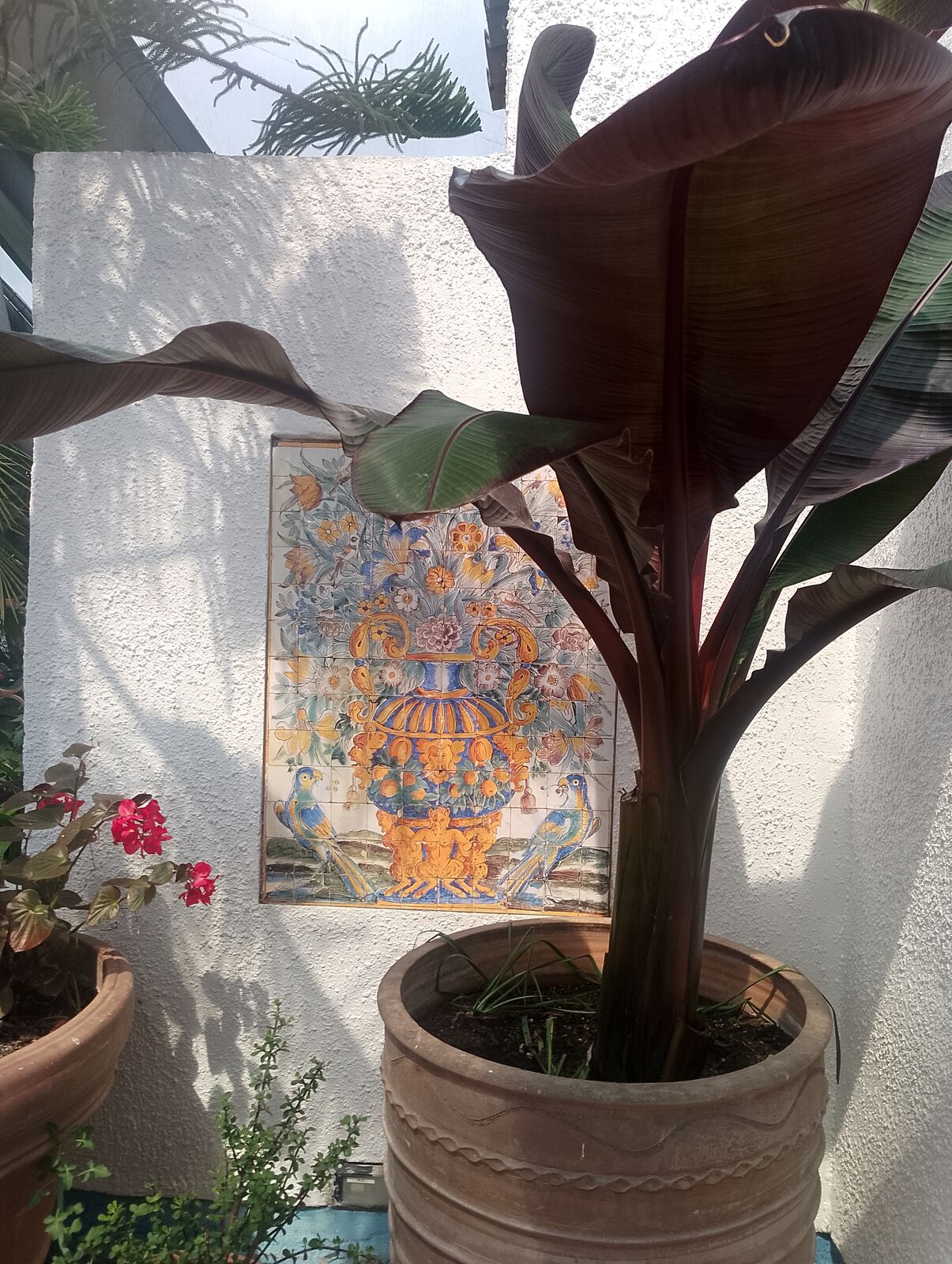 Eden Project