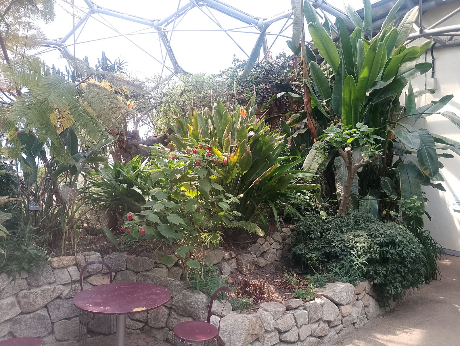 Eden Project
