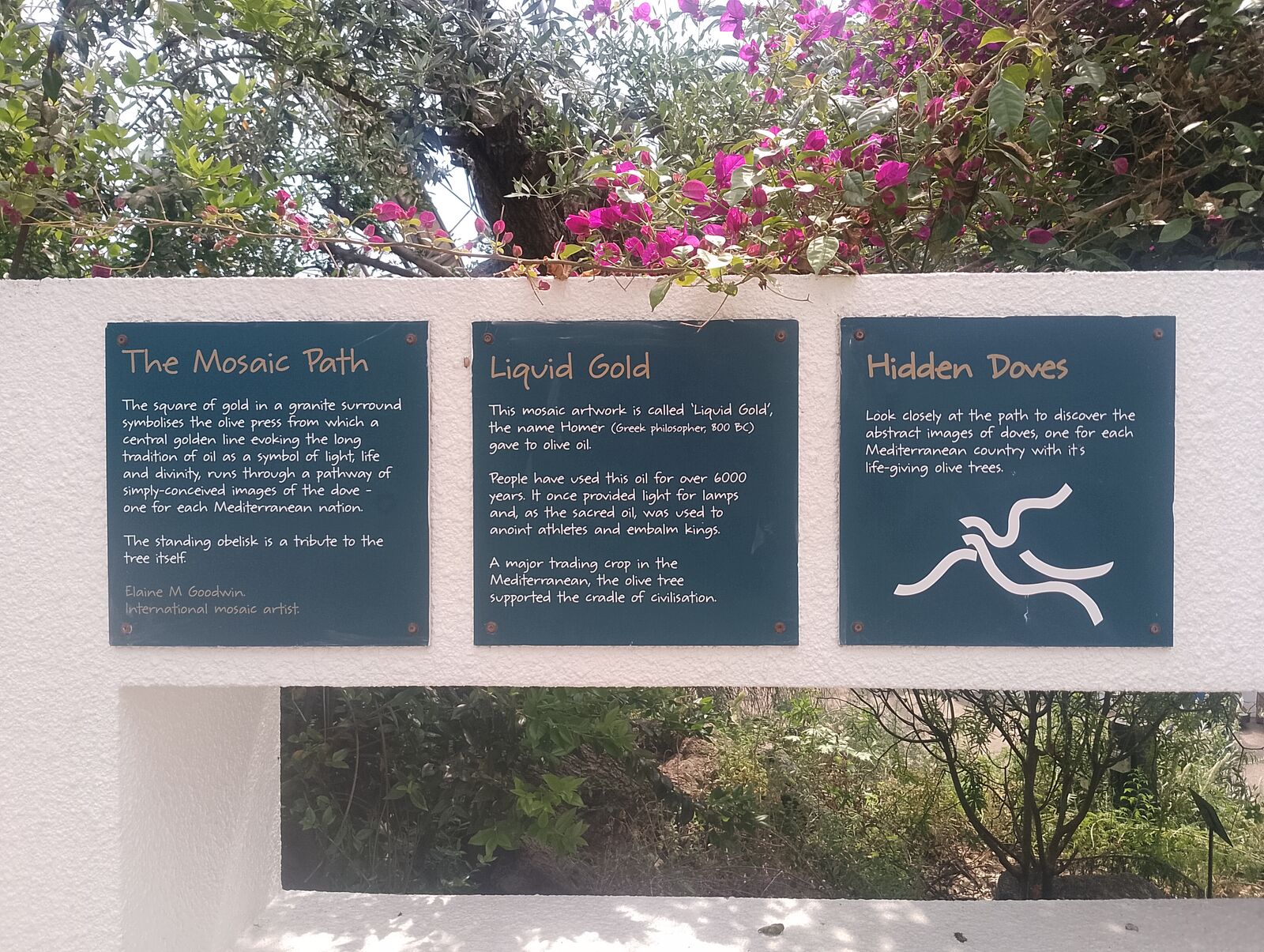 Eden Project