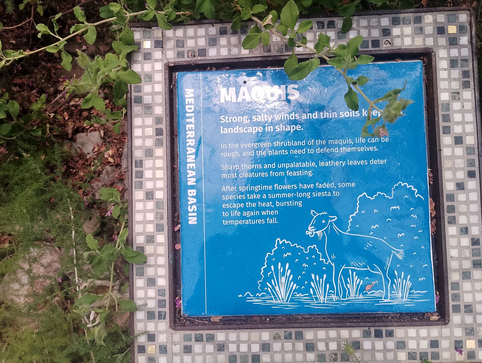 Eden Project