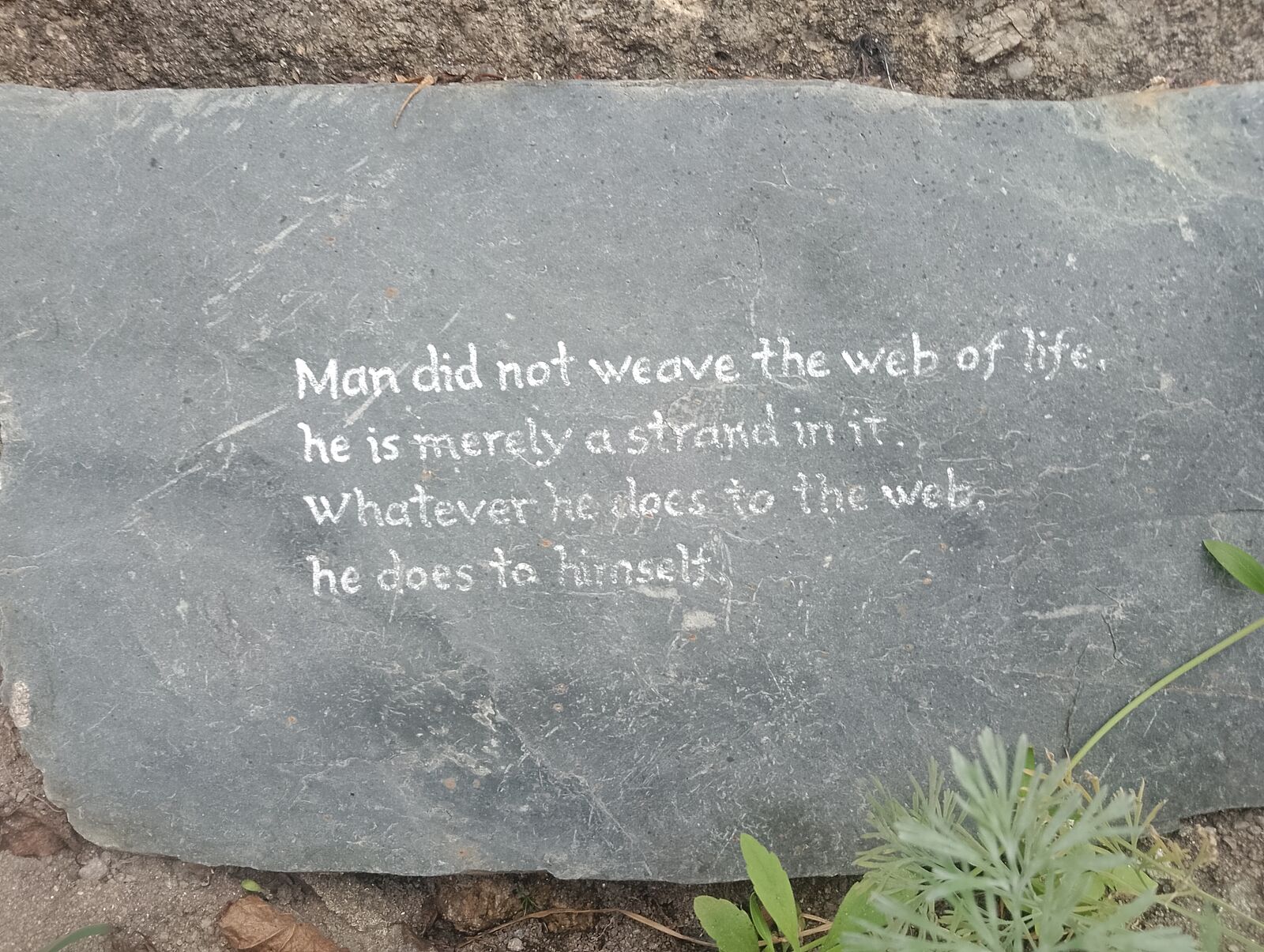 Eden Project
