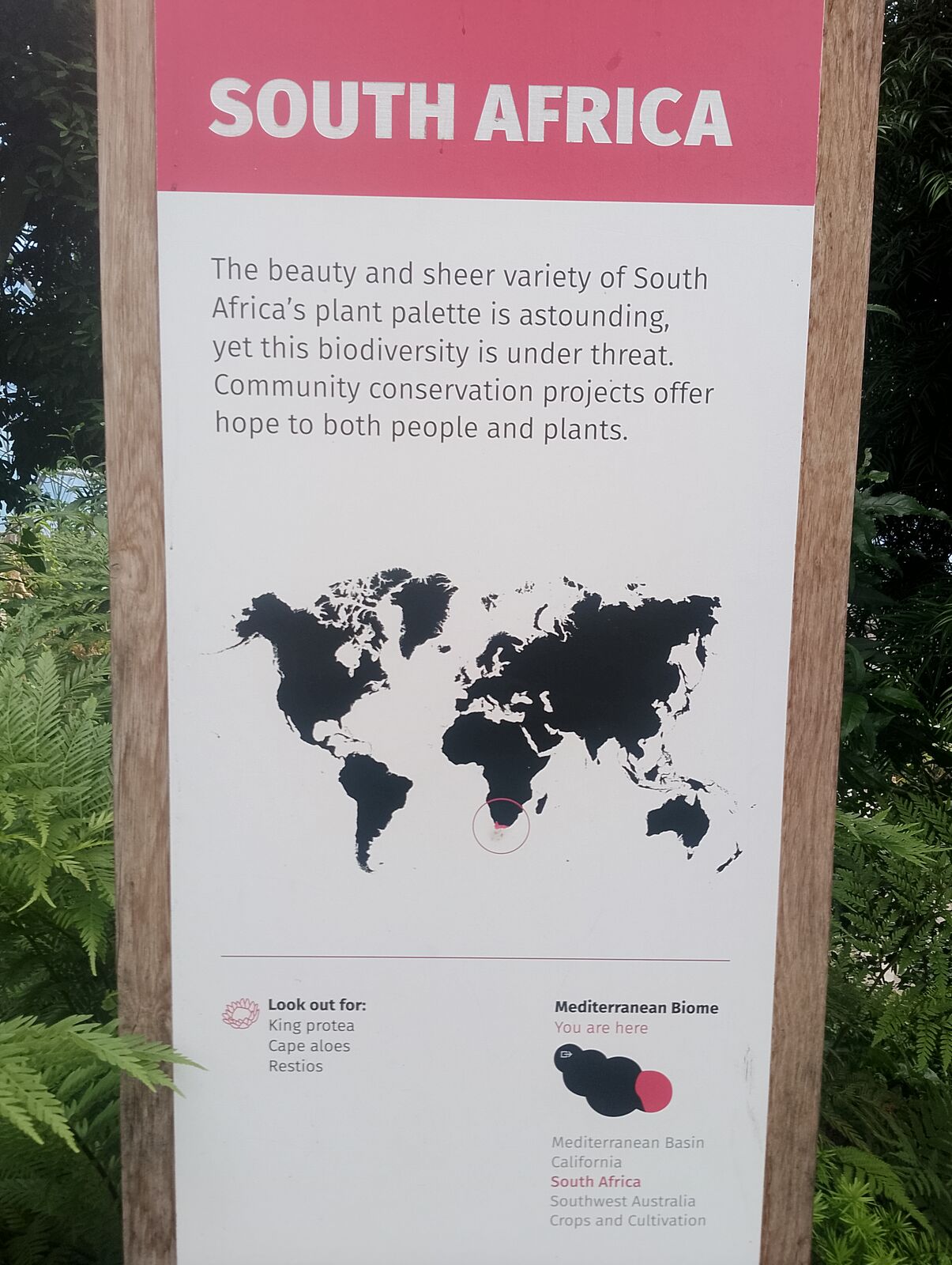Eden Project