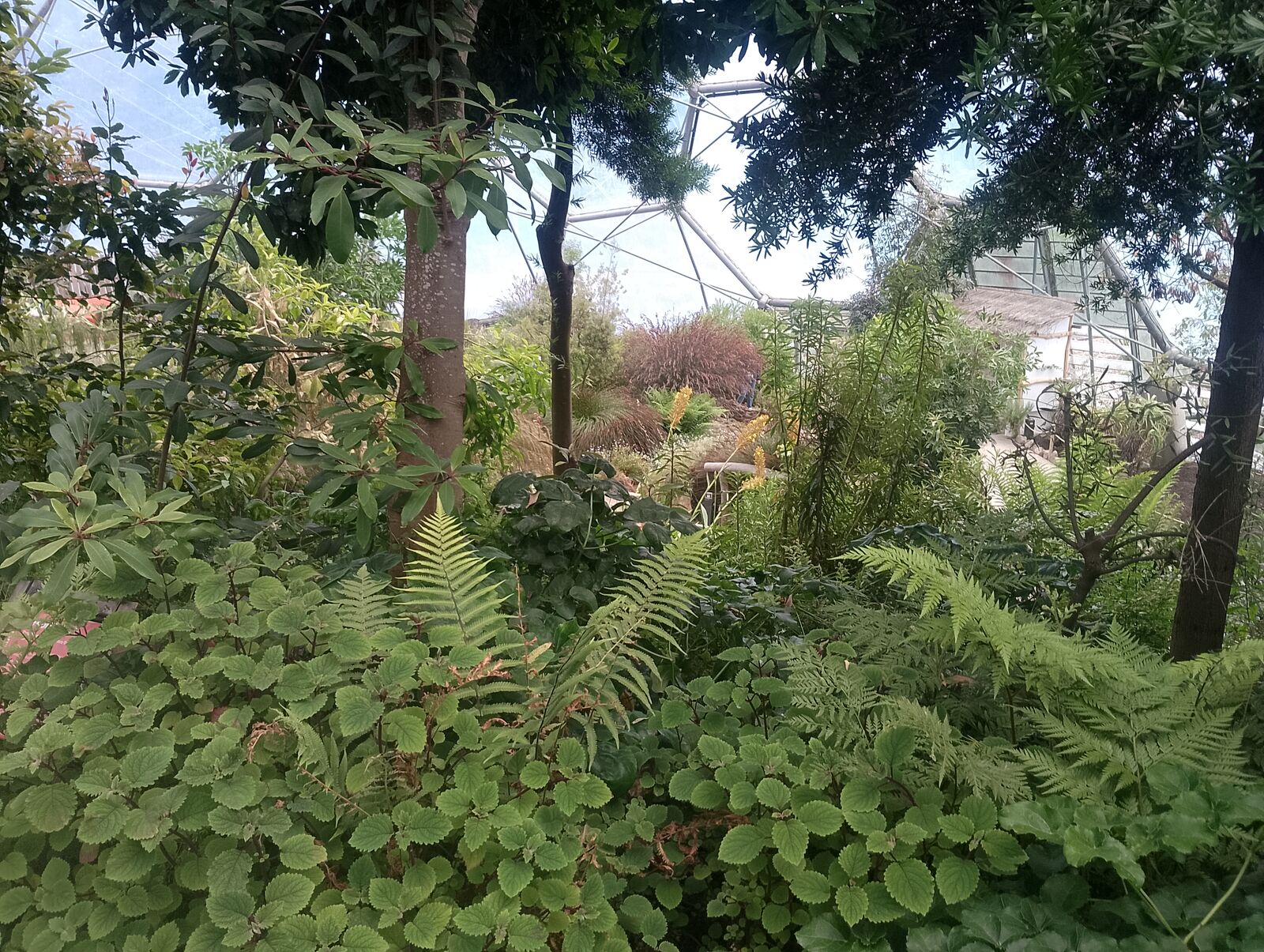 Eden Project