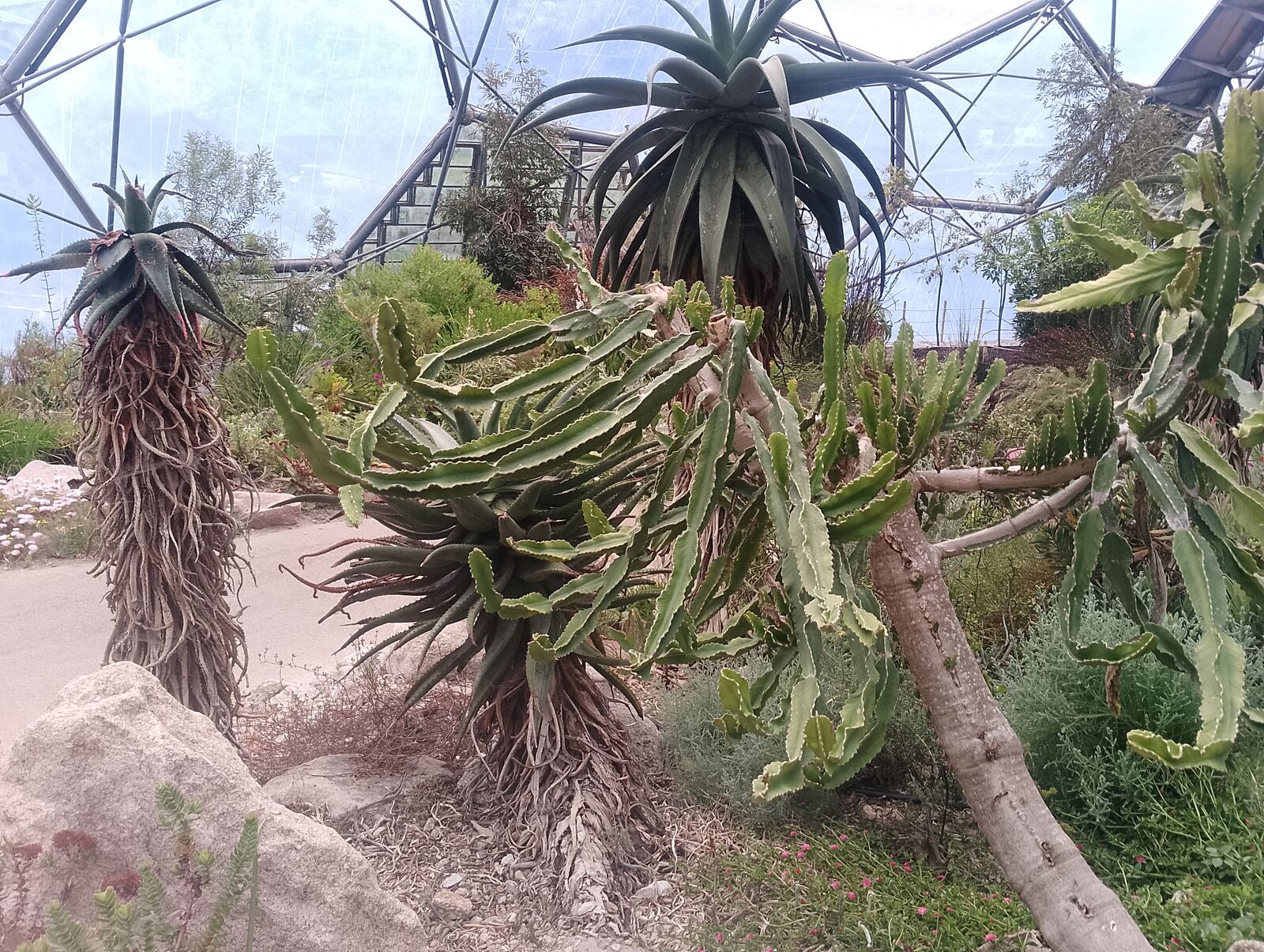Eden Project