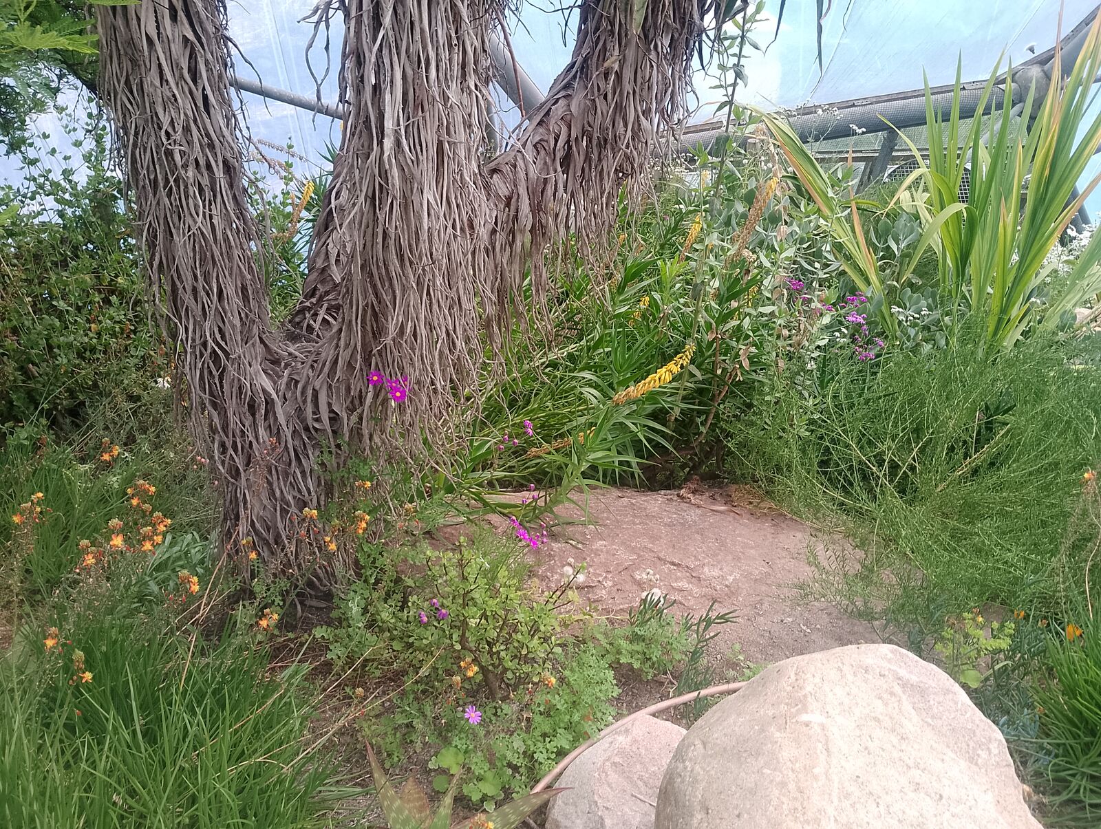 Eden Project