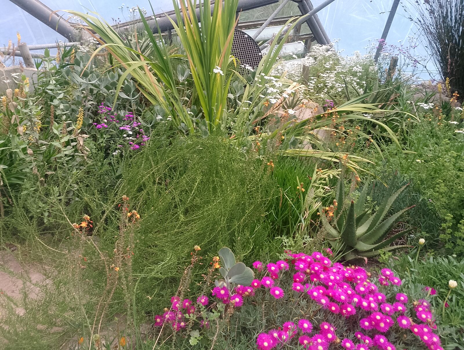 Eden Project