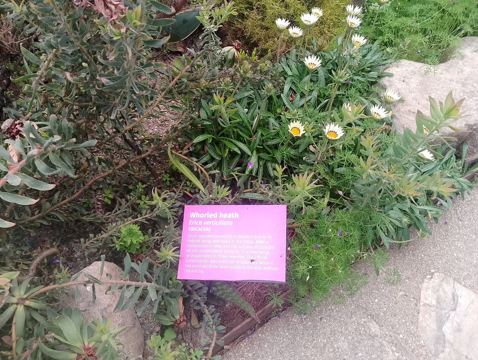 Eden Project