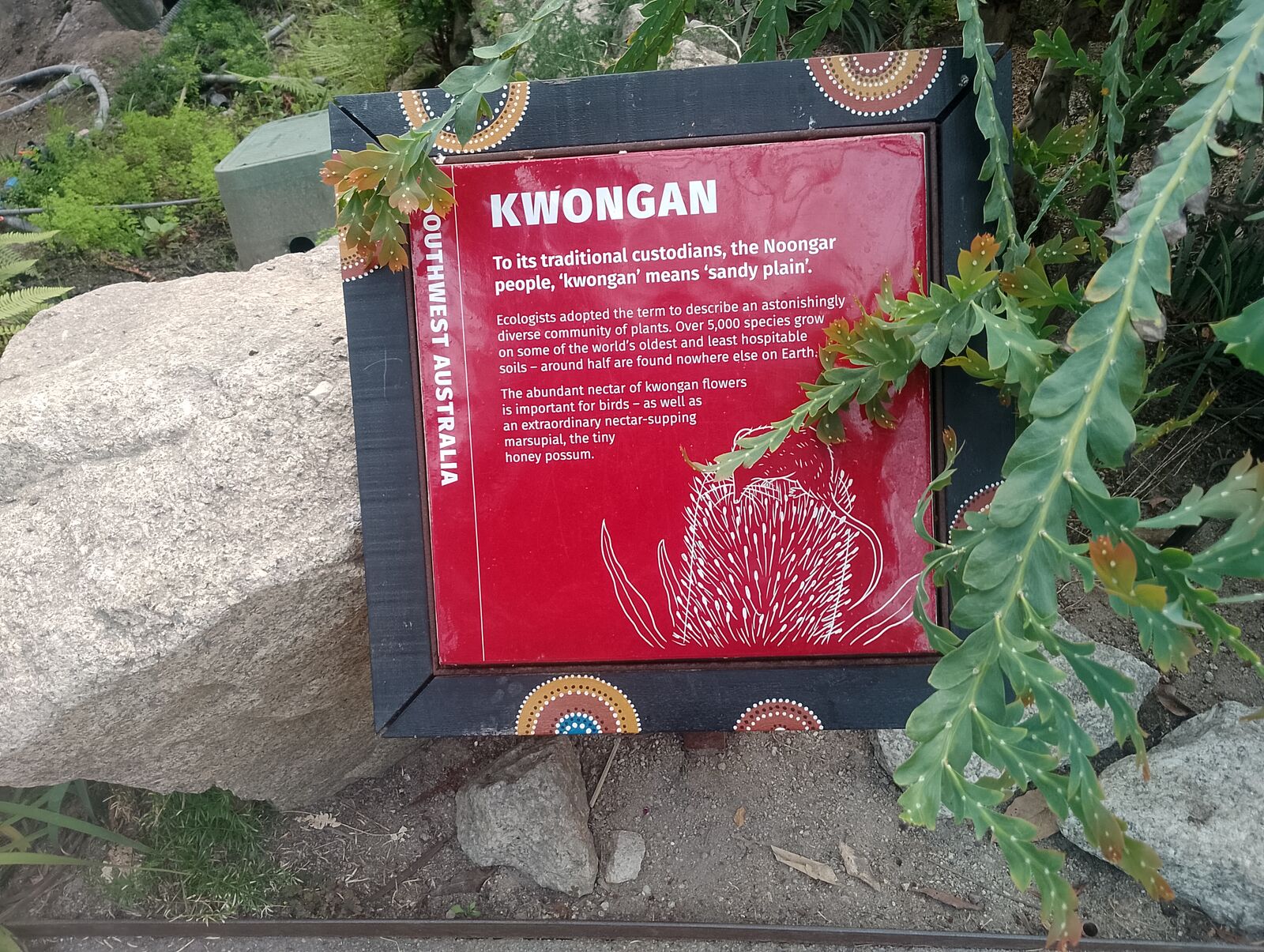 Eden Project