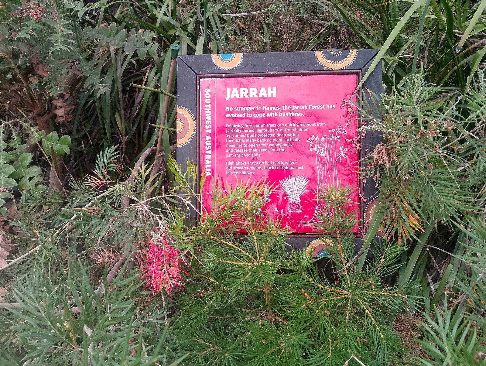 Eden Project
