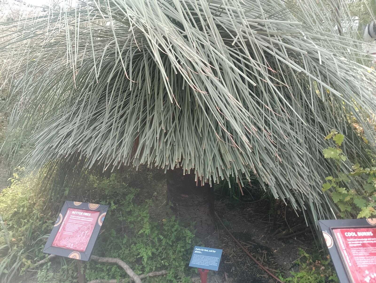 Eden Project