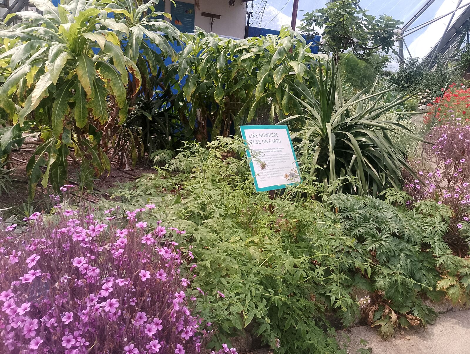 Eden Project