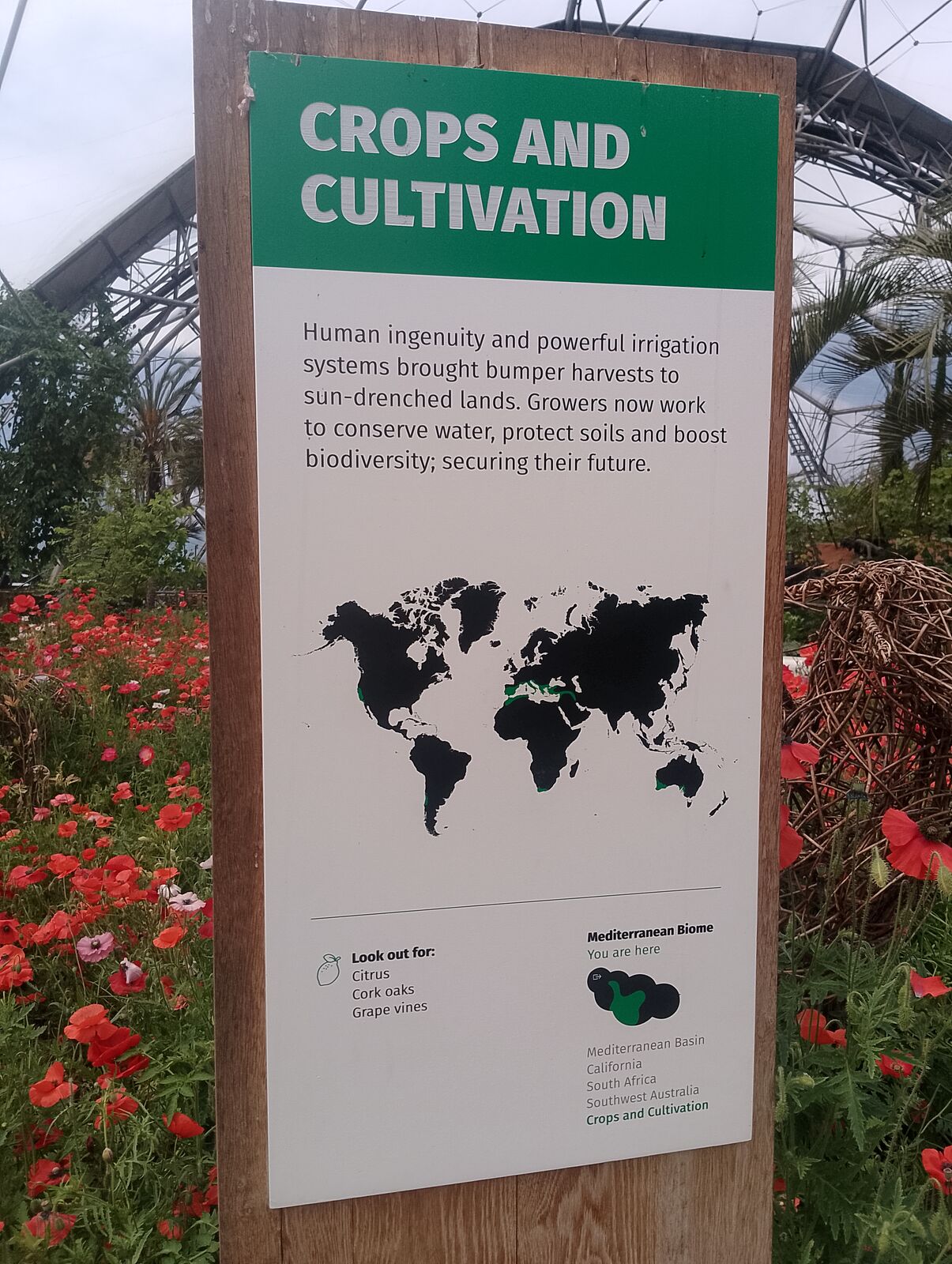 Eden Project