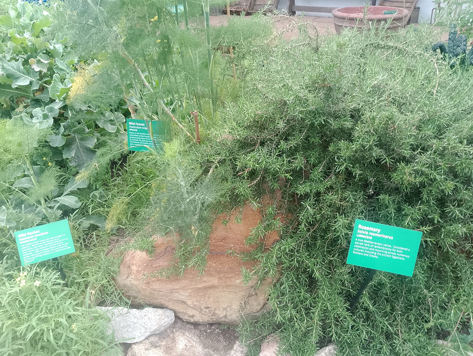 Eden Project