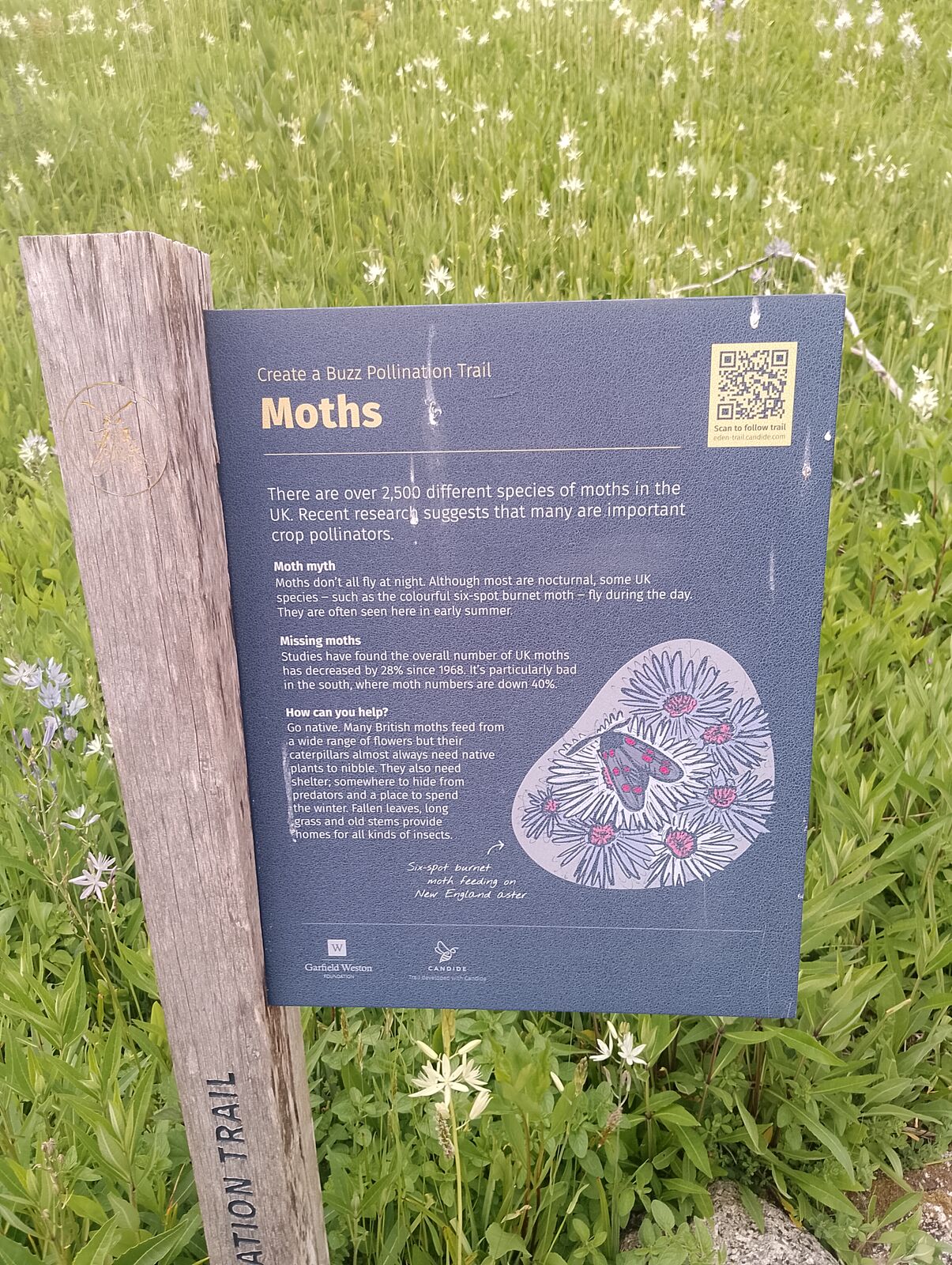 Eden Project