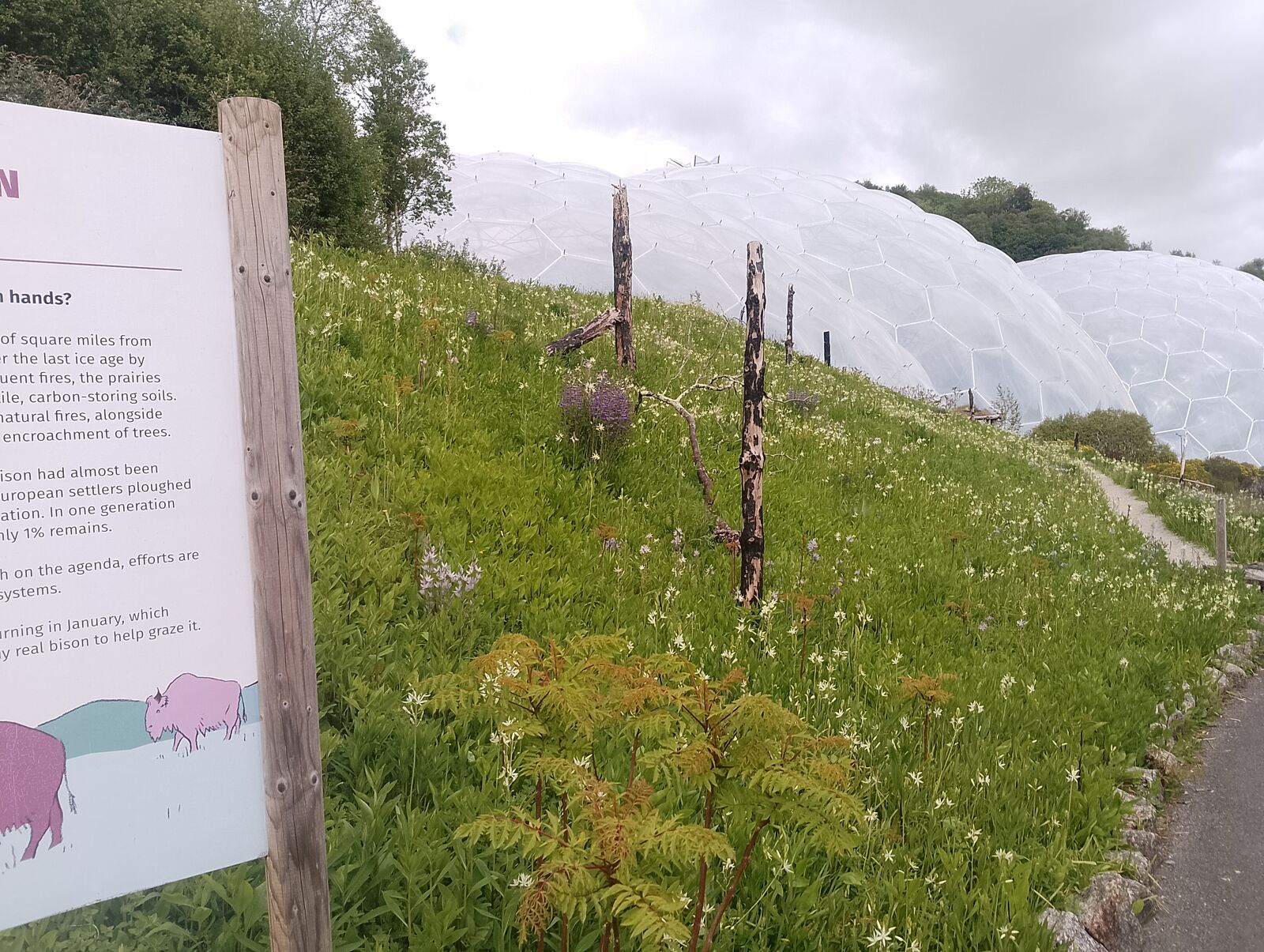 Eden Project