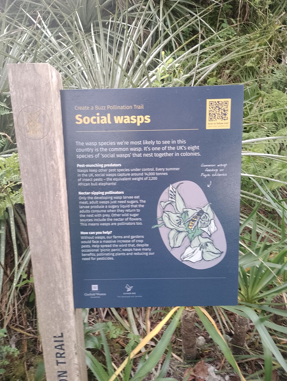 Eden Project