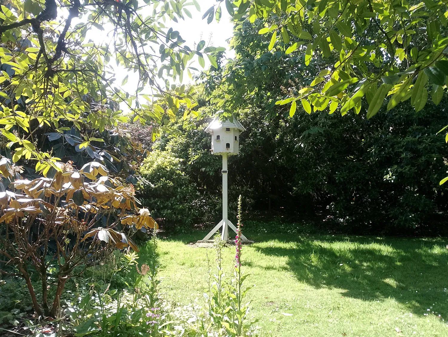 Bird house in the garden