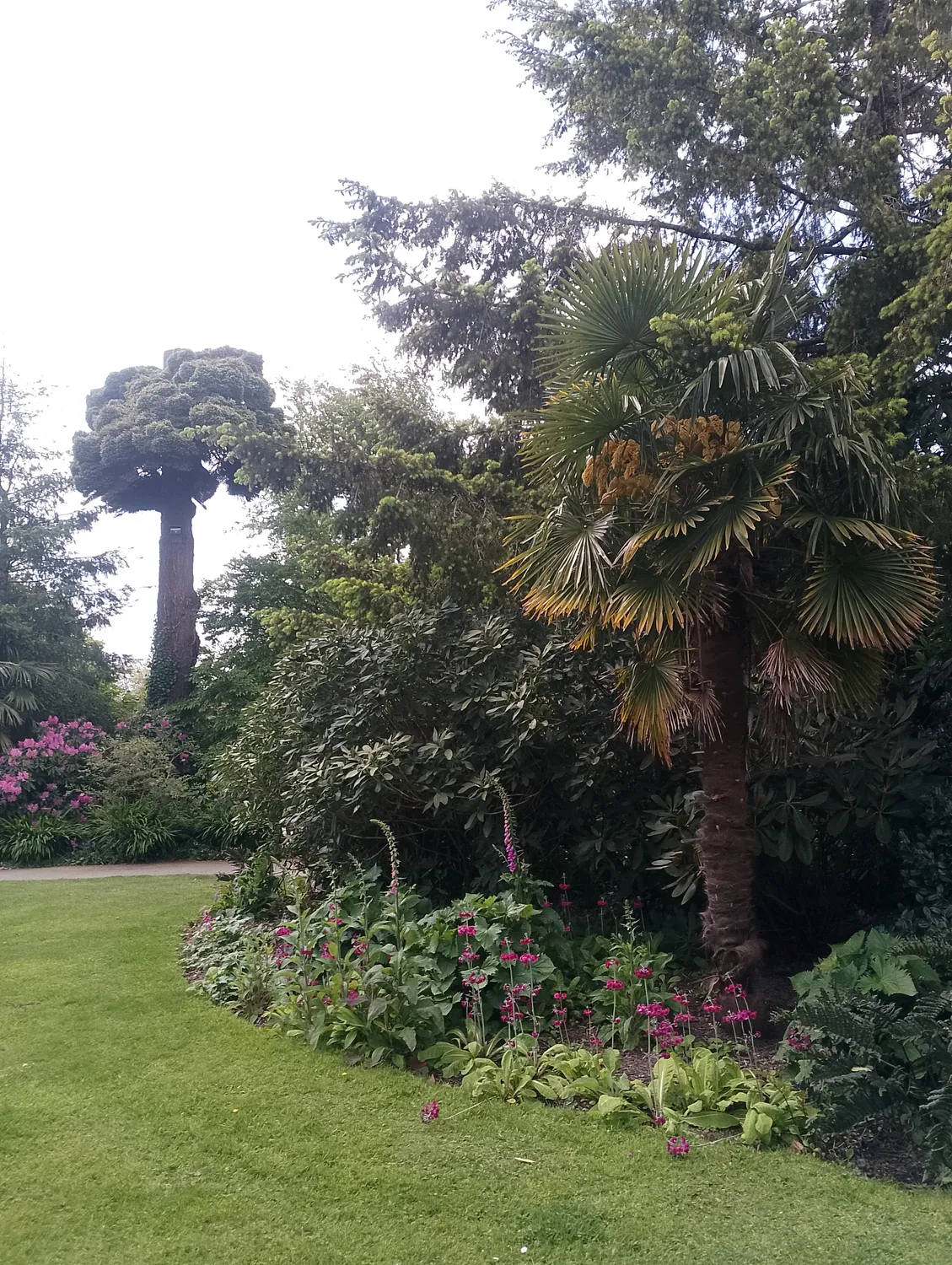 Garden flowers