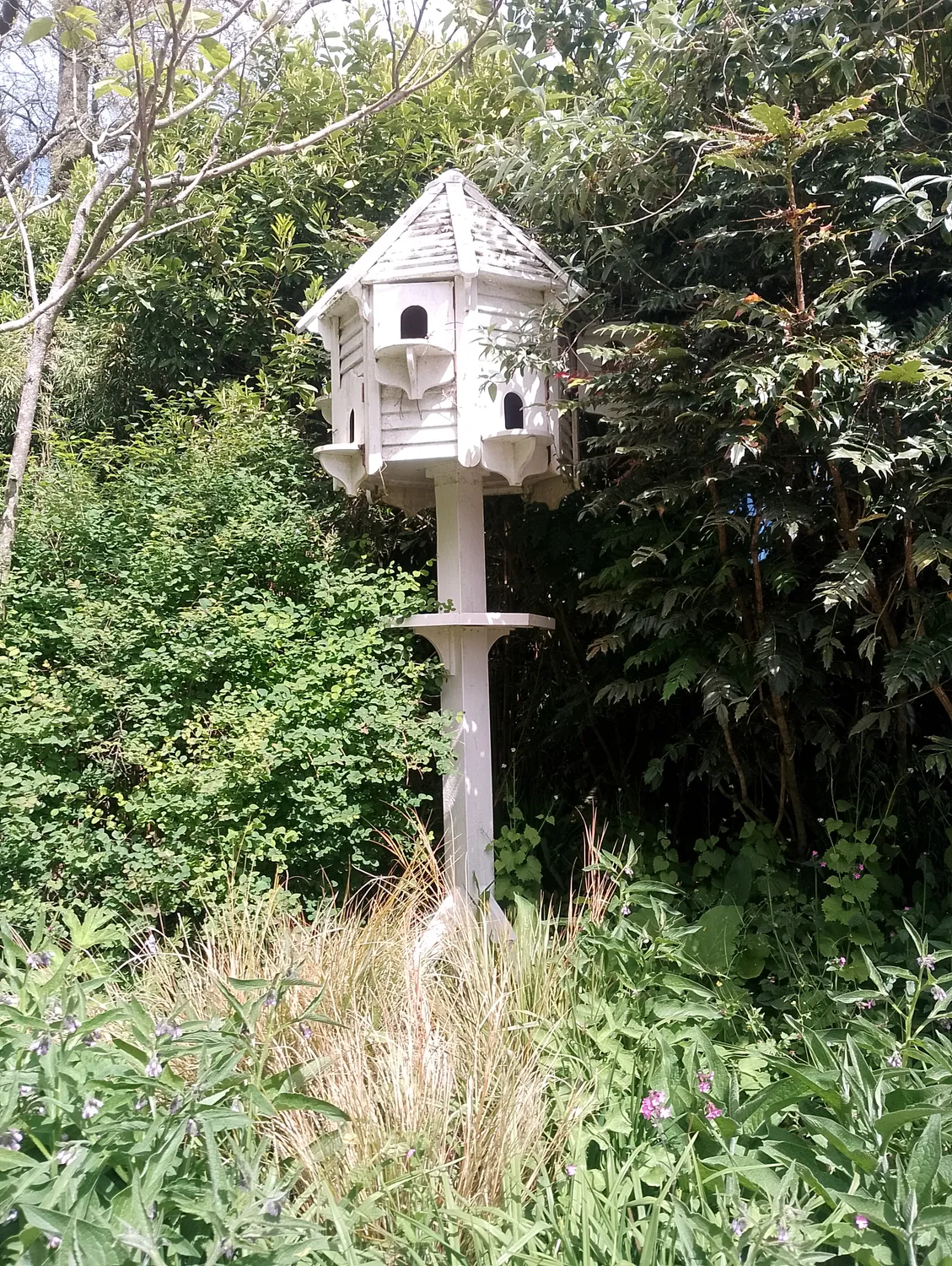 Ornate bird house