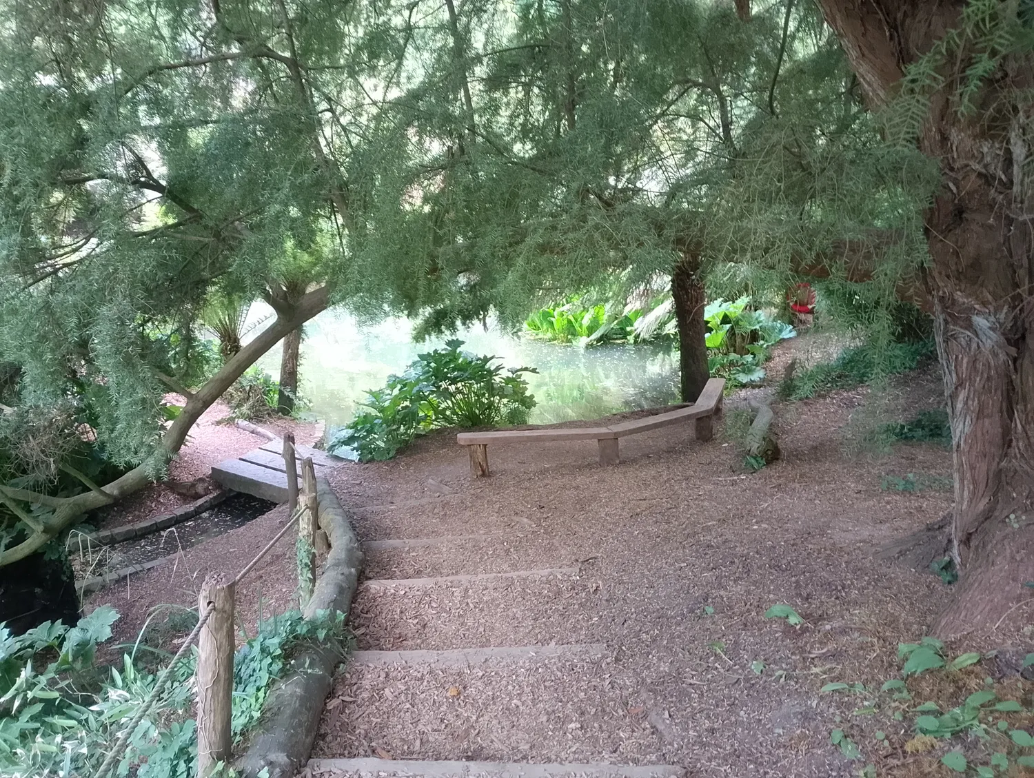 Steps into the valley
