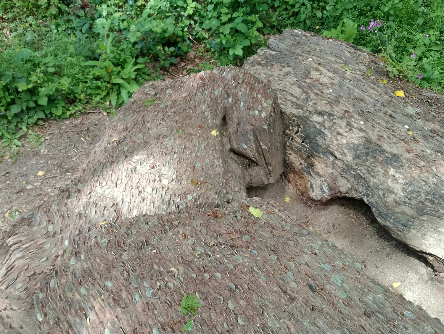 Coin-covered wishing log