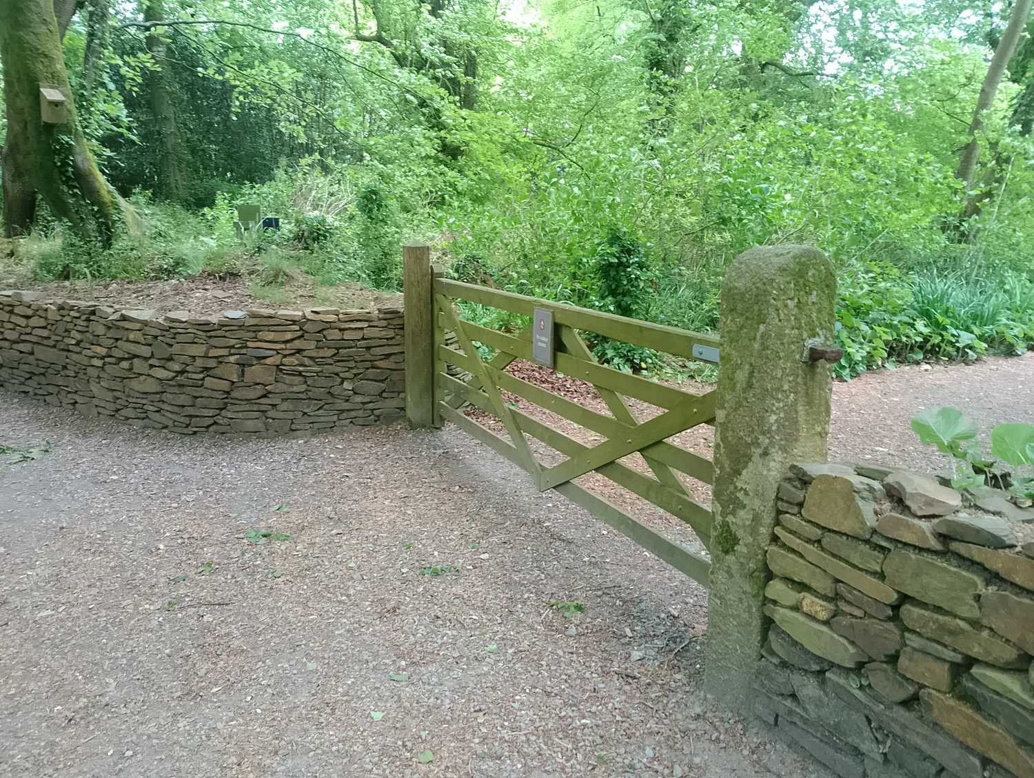Wall and garden