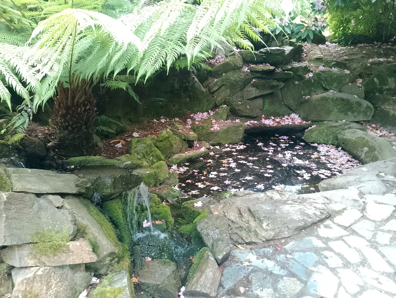 Garden detail