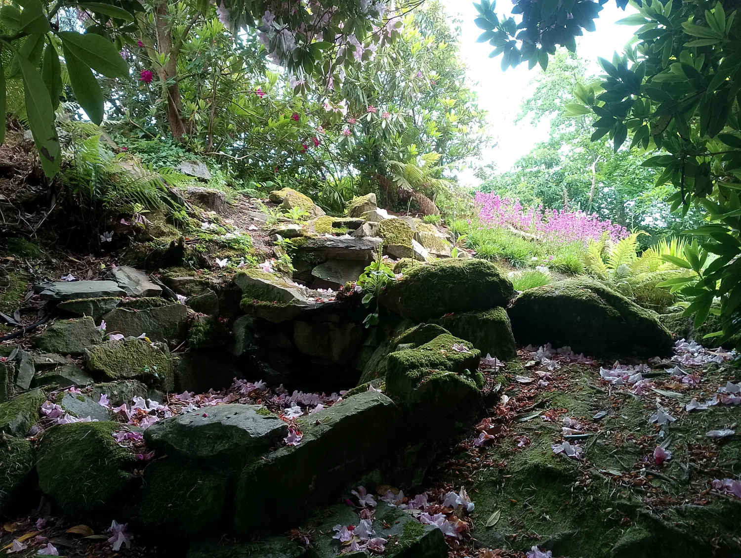 Garden pathway