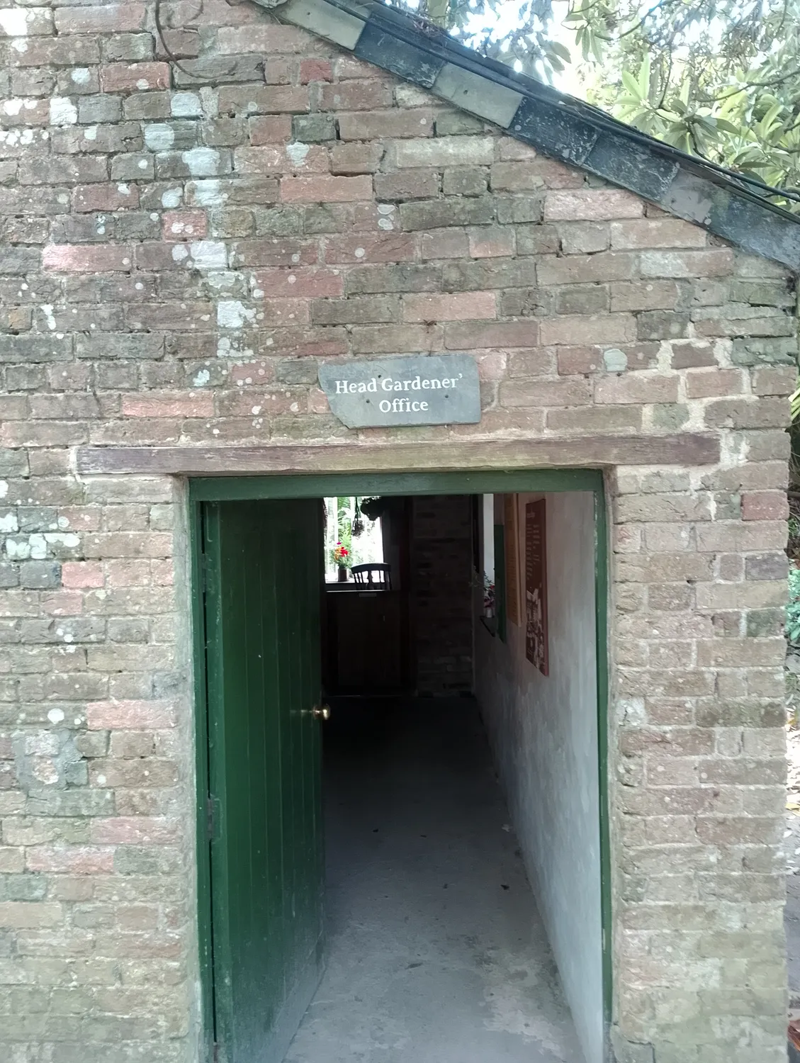Walled garden flowers