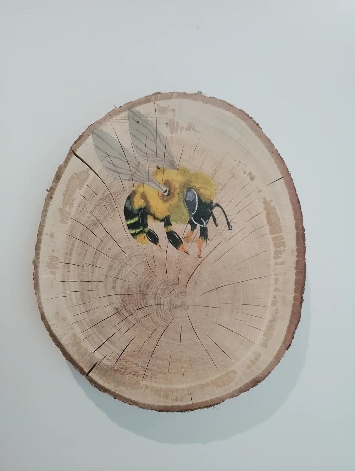 Nature-themed art
