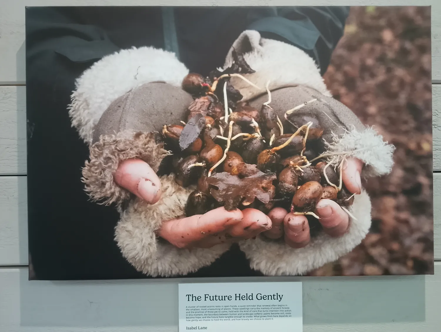 Art exhibition piece