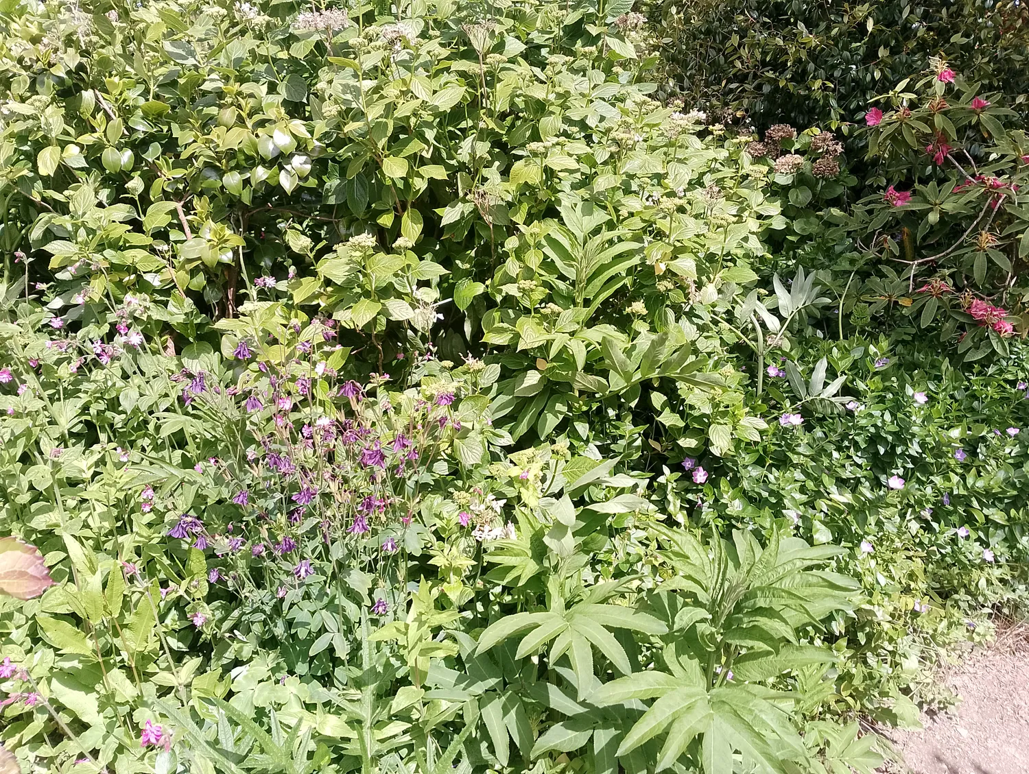 Trail through the gardens