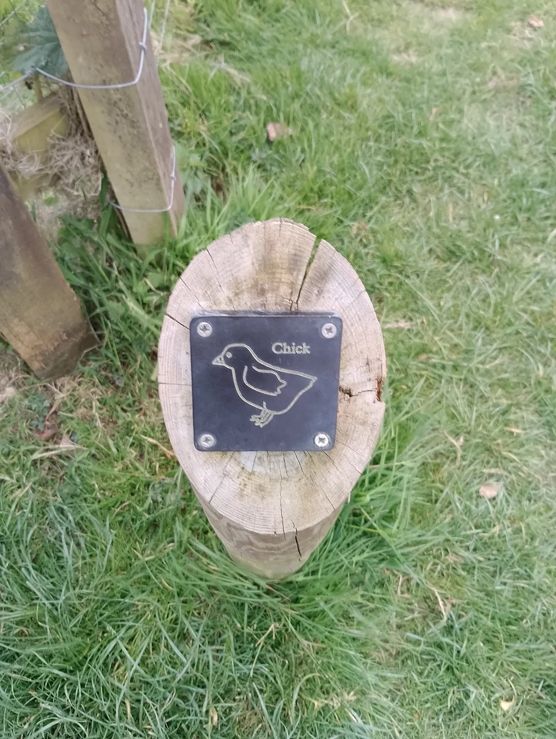 Chick trail marker