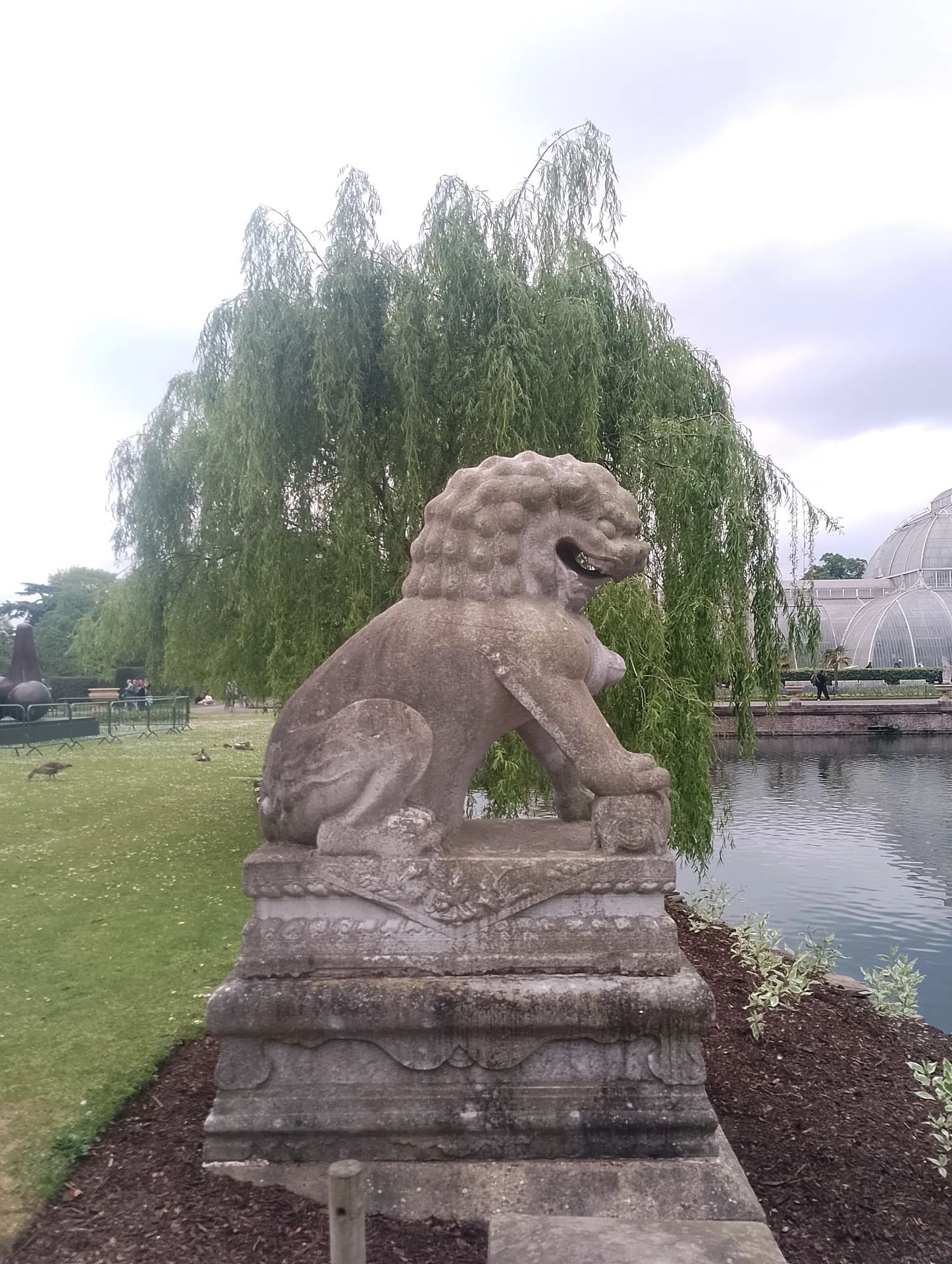 Trees along the path