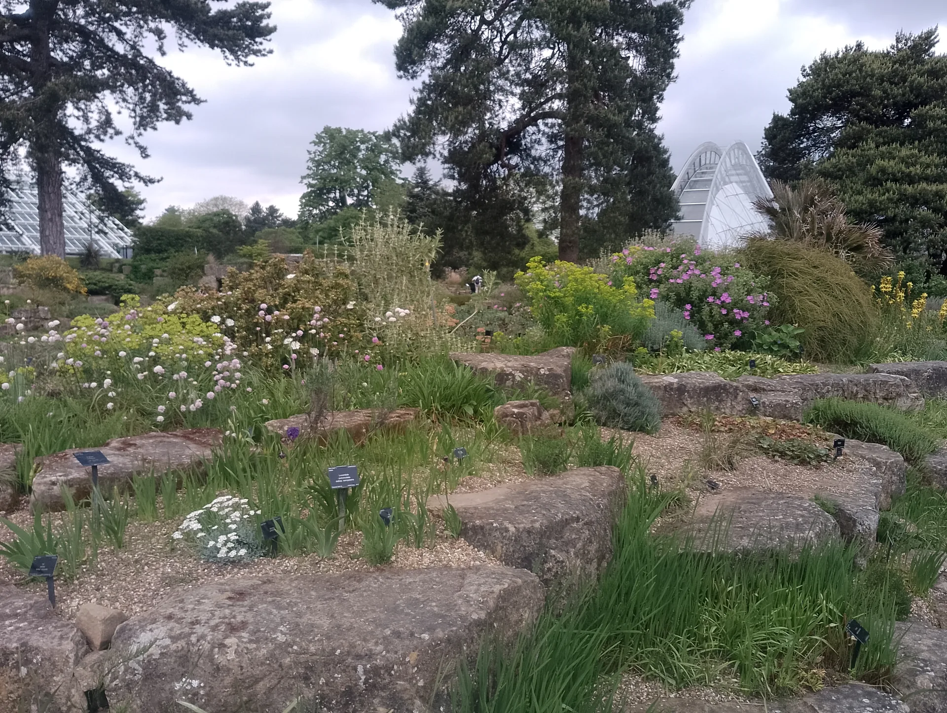 Alpine House approach