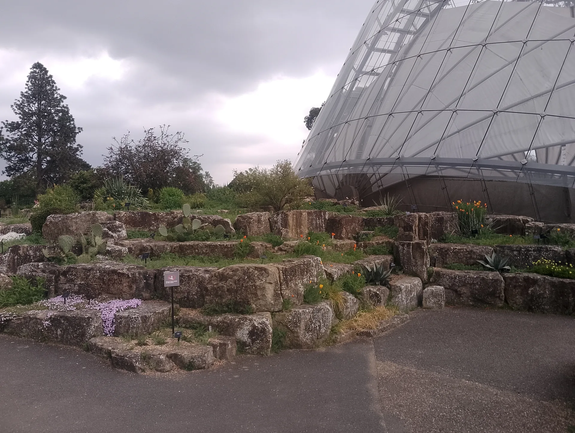 Alpine House interior