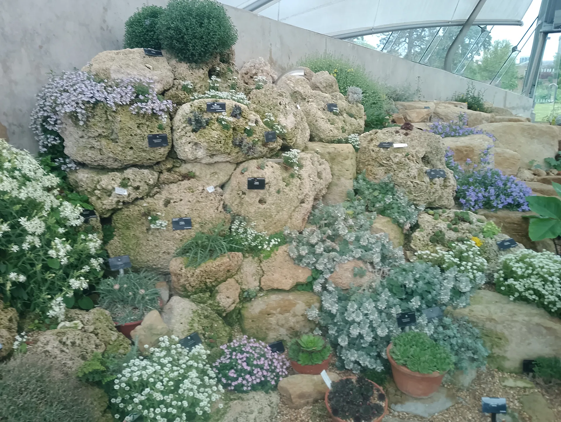 Leaving Alpine House
