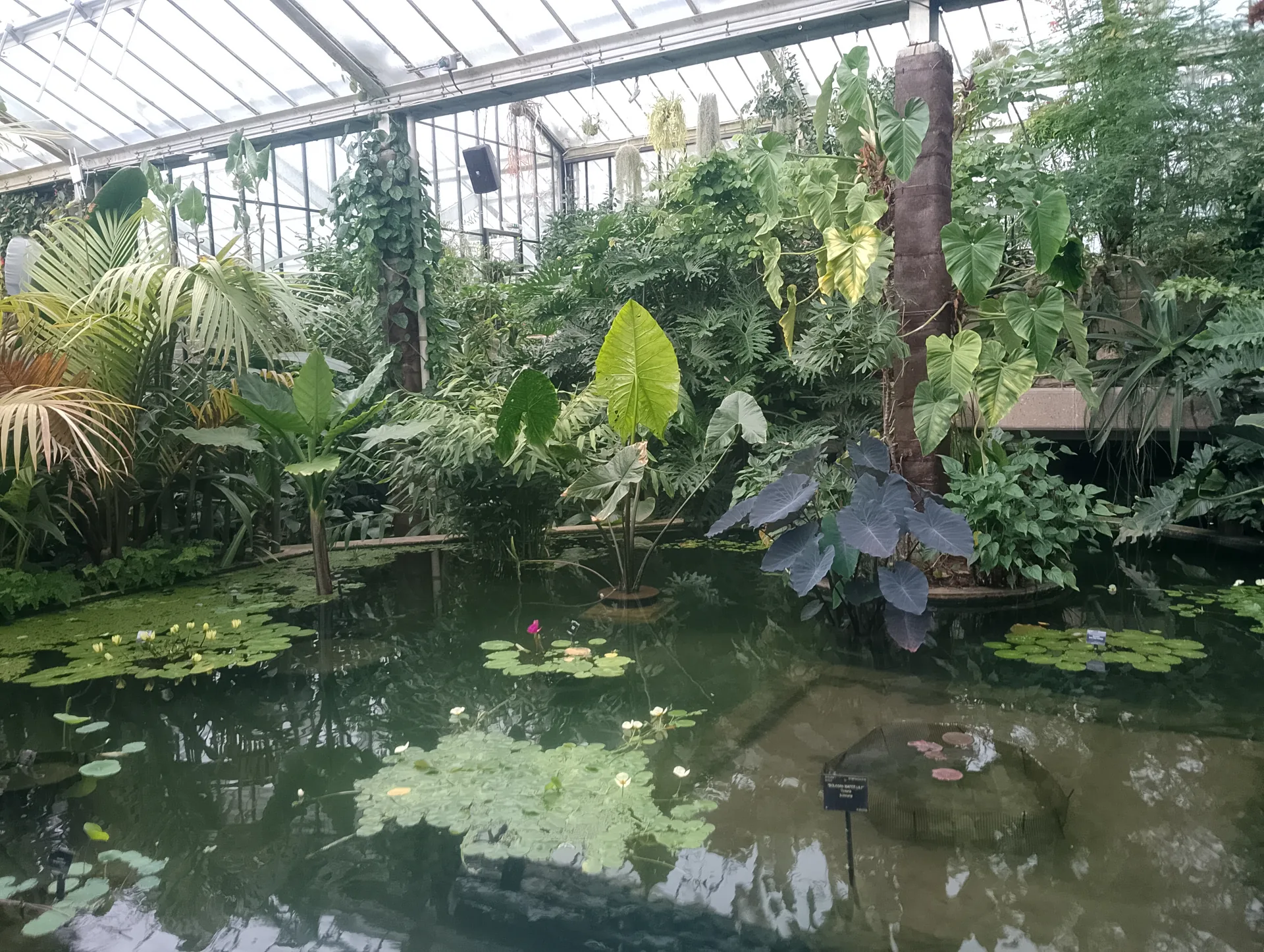 Conservatory interior
