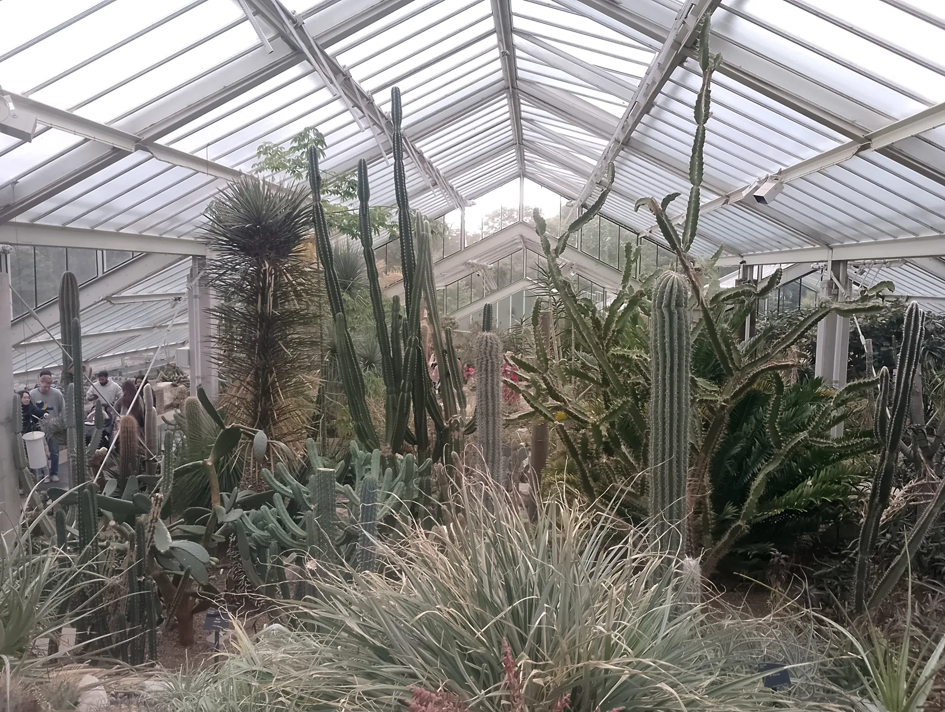 Plant display
