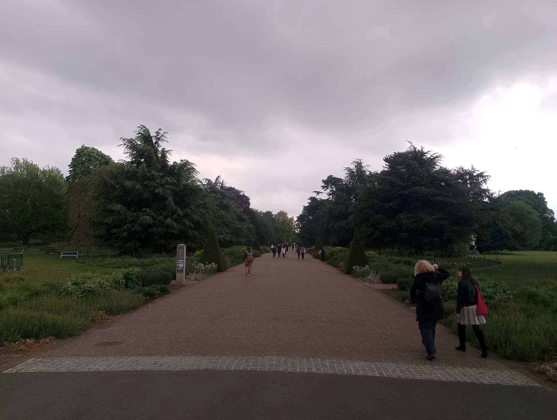 Syon Vista