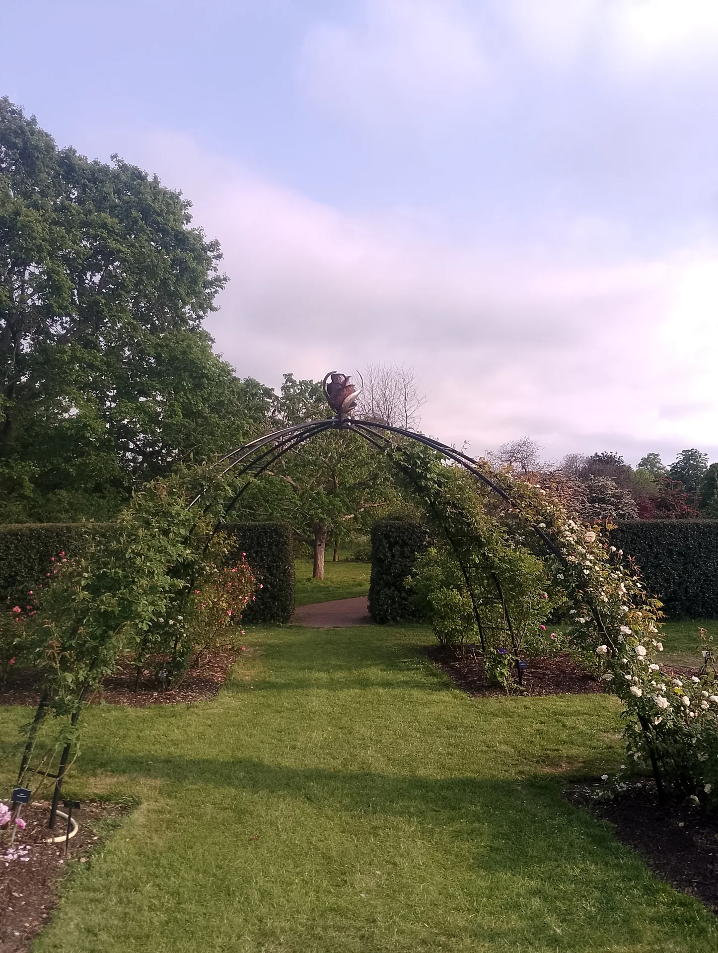 Rose garden archway