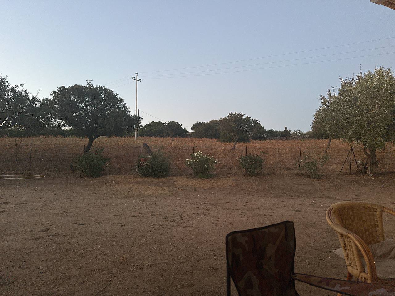 Olbia: Metalinguistics